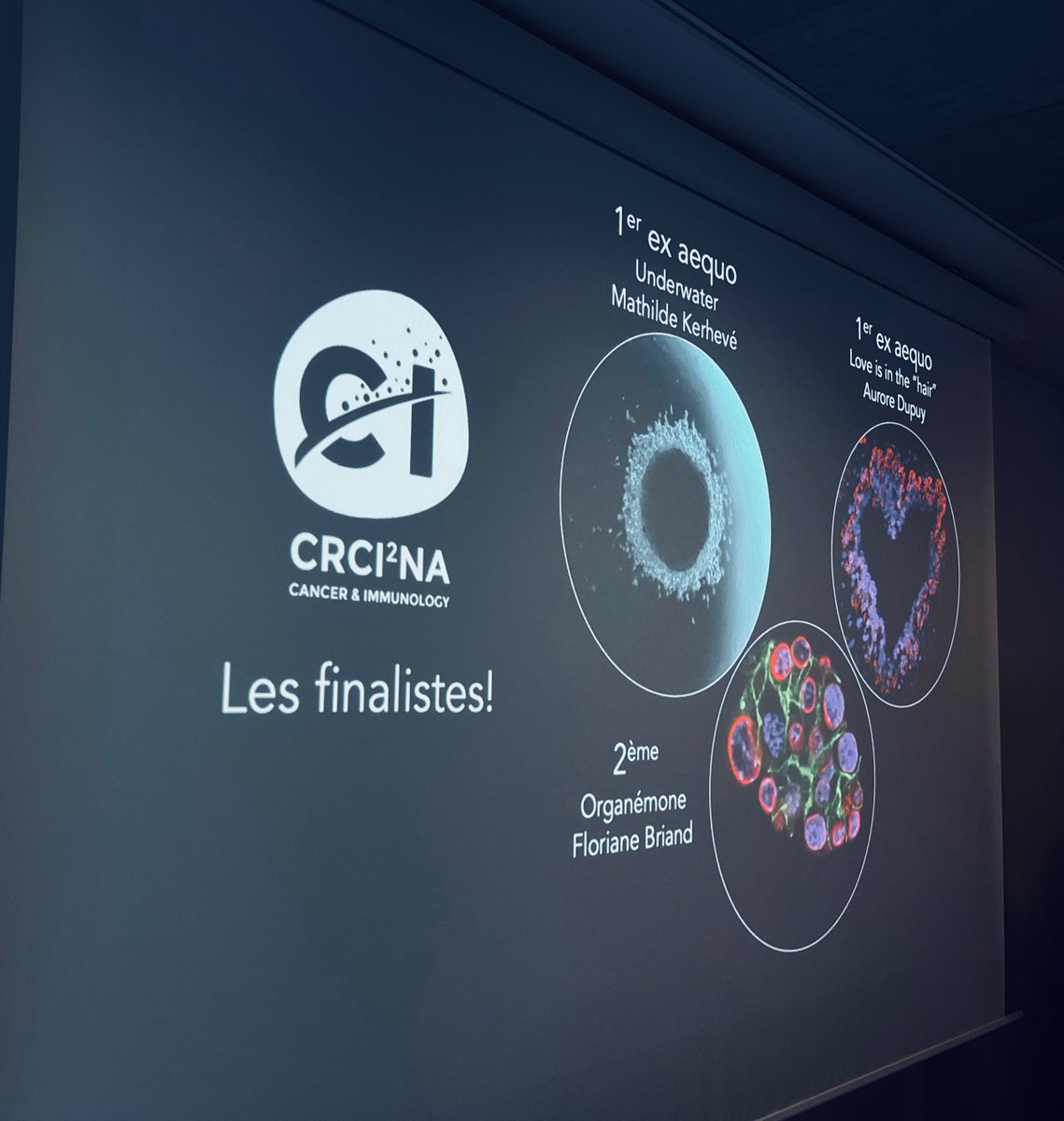 LabSoap's tweet photo. First #picturecontest @Crci2naClub 
👏kudos to the winners and congrats to "underwater" from @Mathilde_Krh @LabSoap https://t.co/AYh9zGp29Y