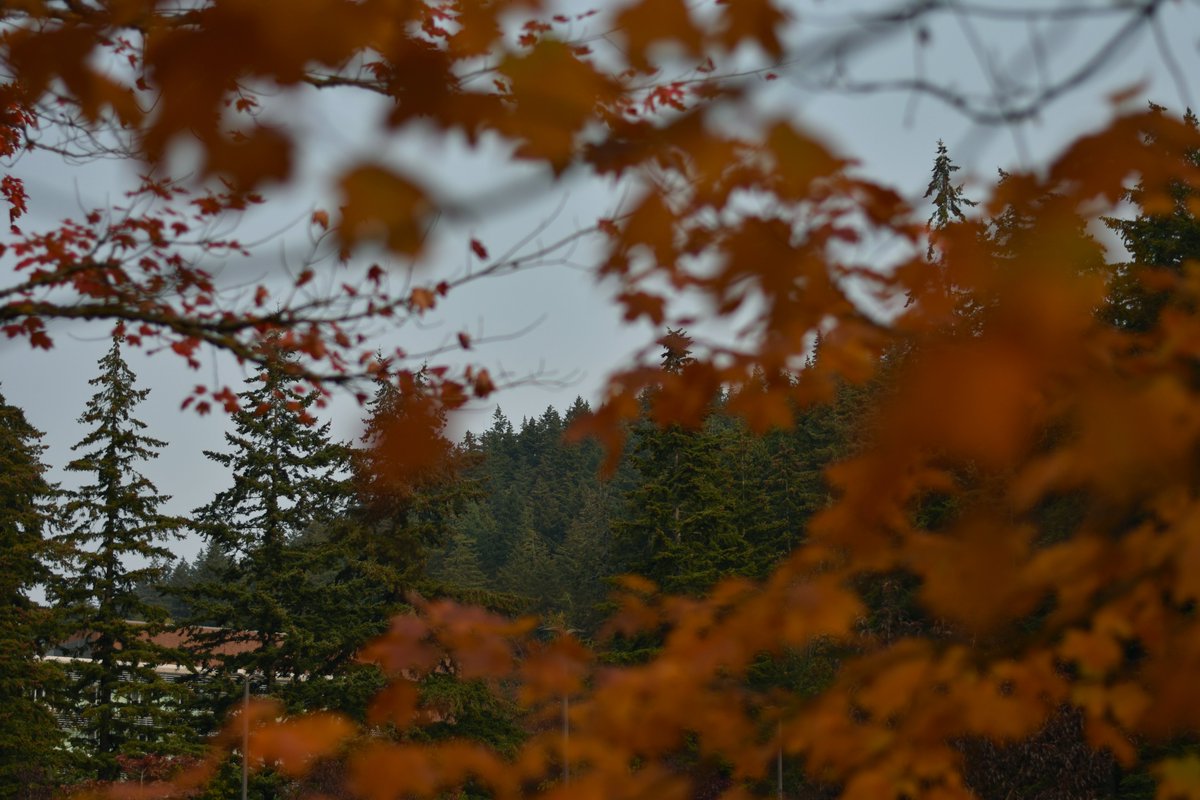 Associated Students of WWU tweet media