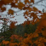 Photo by Associated Students of WWU (@WWU_AS)