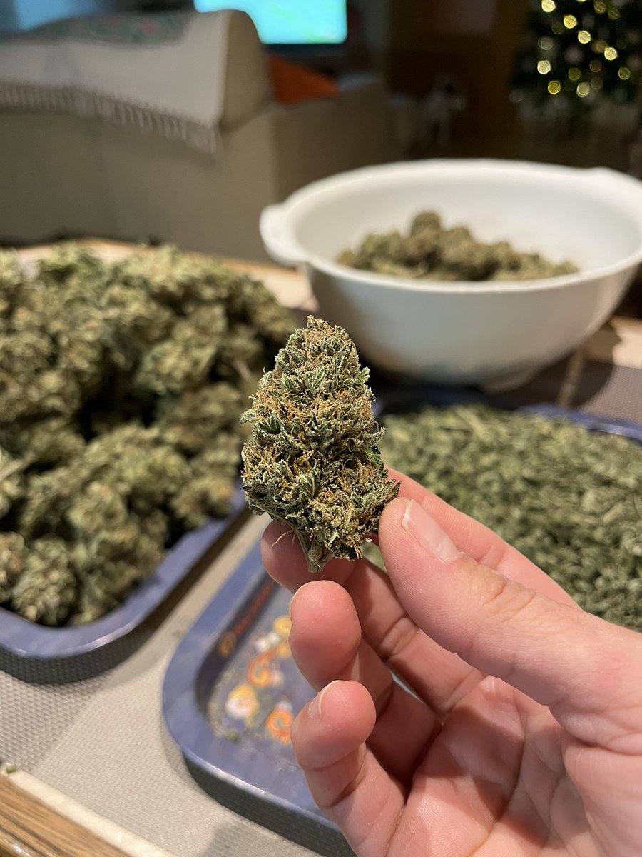 draweedoficial's tweet photo. La manicura sin fin ❤️‍🔥
.
Azucaradas orgánicas las más ricas 🤍 https://t.co/ThddSThfKN