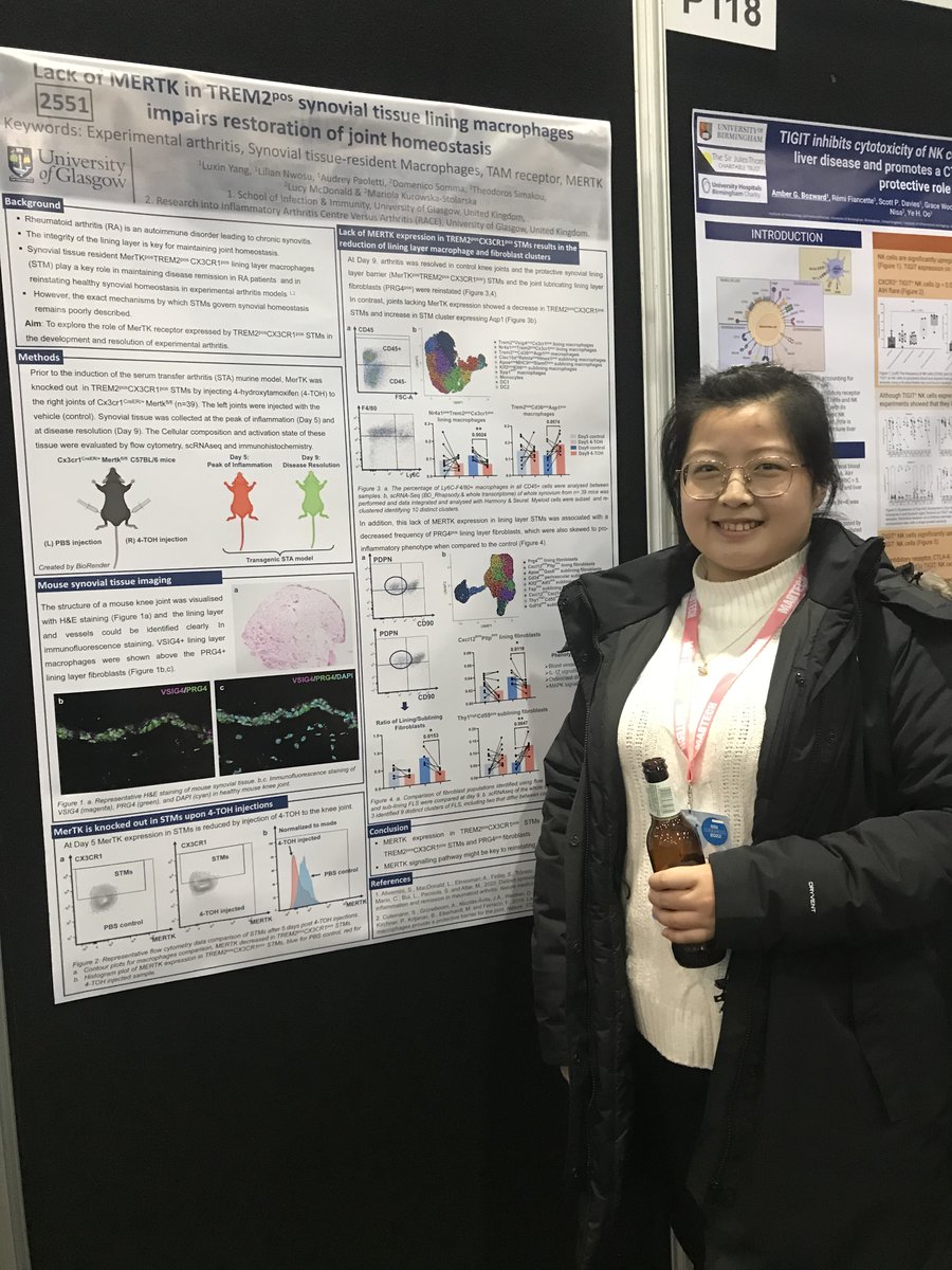 DrMariola's tweet photo. @BSI22 Our PhD student Luxin Yang presents poster on synovial tissue macrophages. https://t.co/Go8hb25A6z