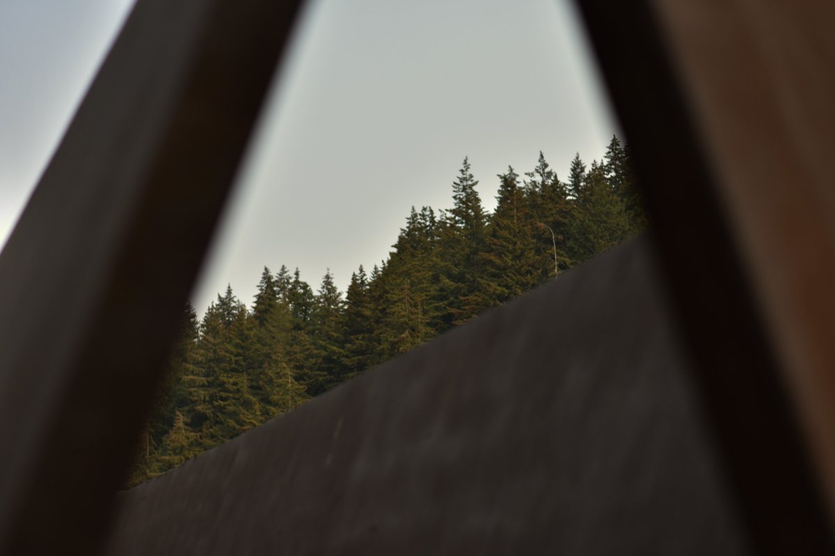 Associated Students of WWU tweet media