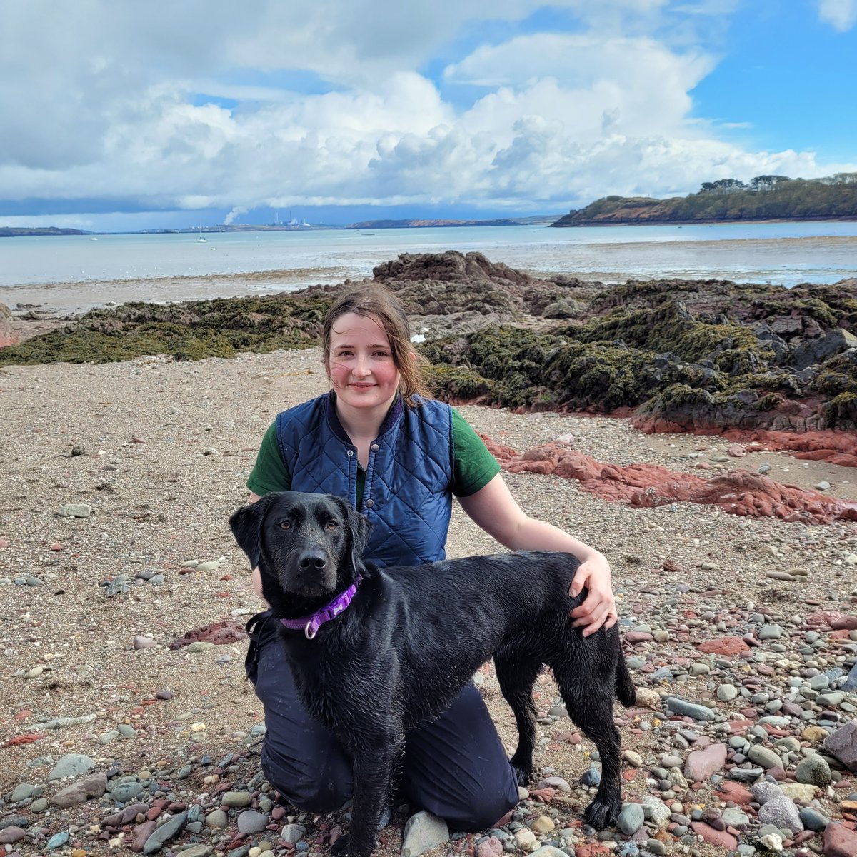 GuildDSO's tweet photo. Hi Everyone! I’m Hannah and I’m the Disabled Student Officer for 2022/23! You might have seen me around with my assistance dog River (pictured here off-duty on a field trip). I have lots planned in the works for this year and hope I can continue to improve accessibility at UoB! https://t.co/97wSJ91HxT