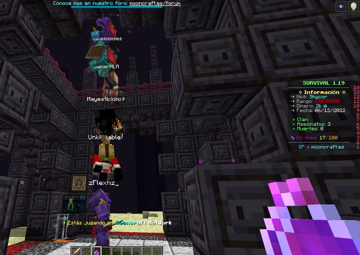 Un día normal en Survival 1.19