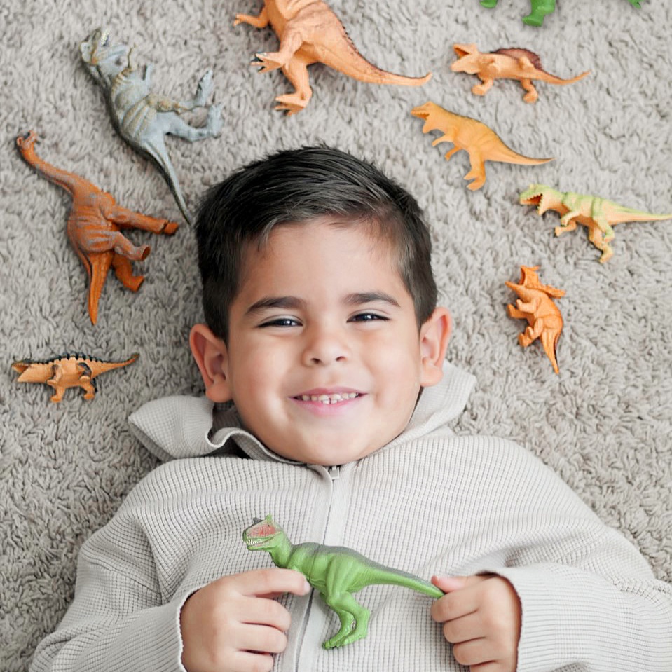 ToysRUs's tweet photo. .@Audreyjudith_ shopped #ToysRUs for a toy ALL her kids can have fun with! With 31 pieces included, you can now re-create your own prehistoric adventures right in your own home with the #AnimalZone Dino Mountain Encounter set.🦖 Shop it here ➡️ https://t.co/bElvNeKKpo https://t.co/AYe75zlLEJ