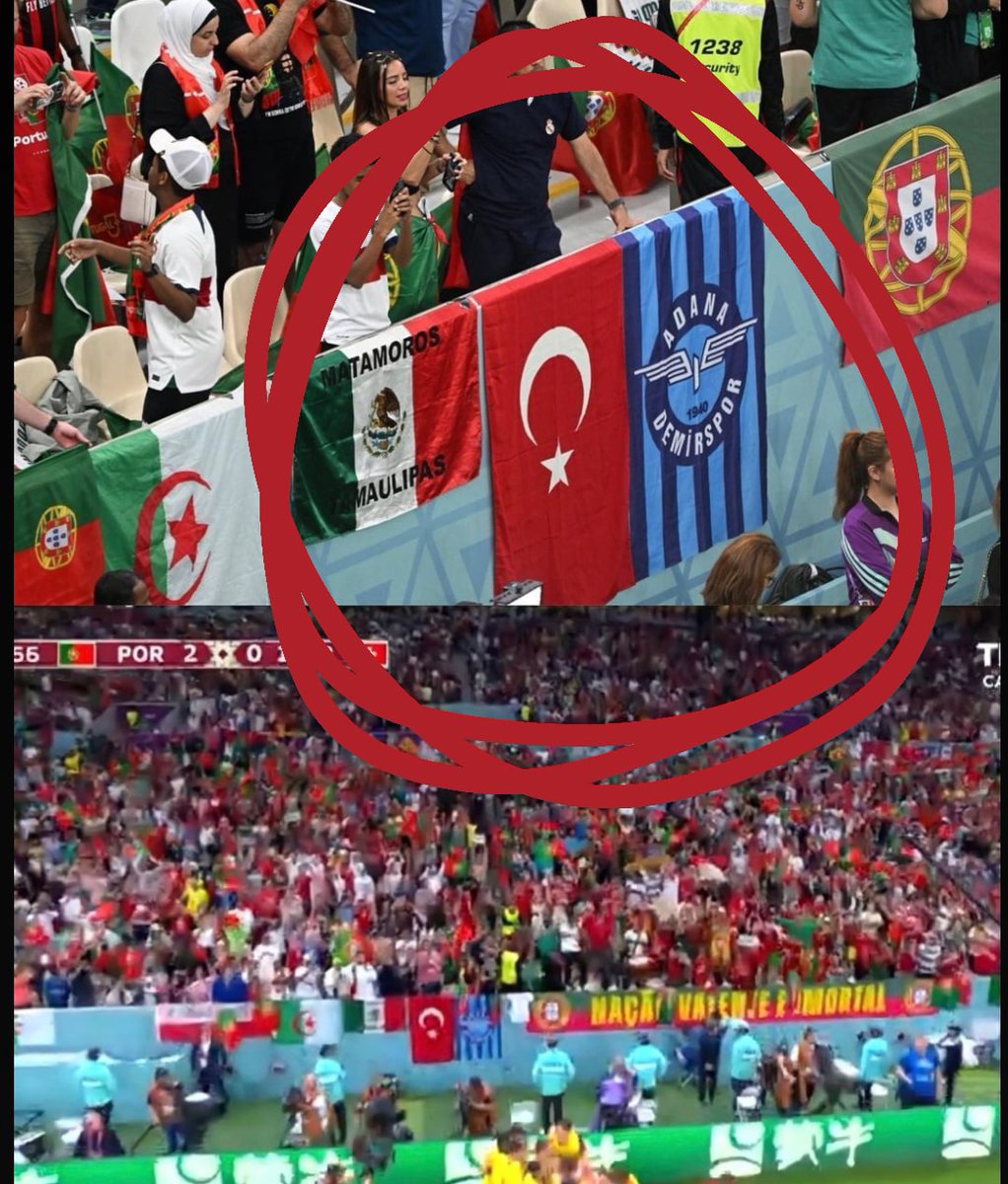 Aynen kardeşim Cristiano Ronaldo, Gonçalo Ramos Portekiz, İsviçre cart curt