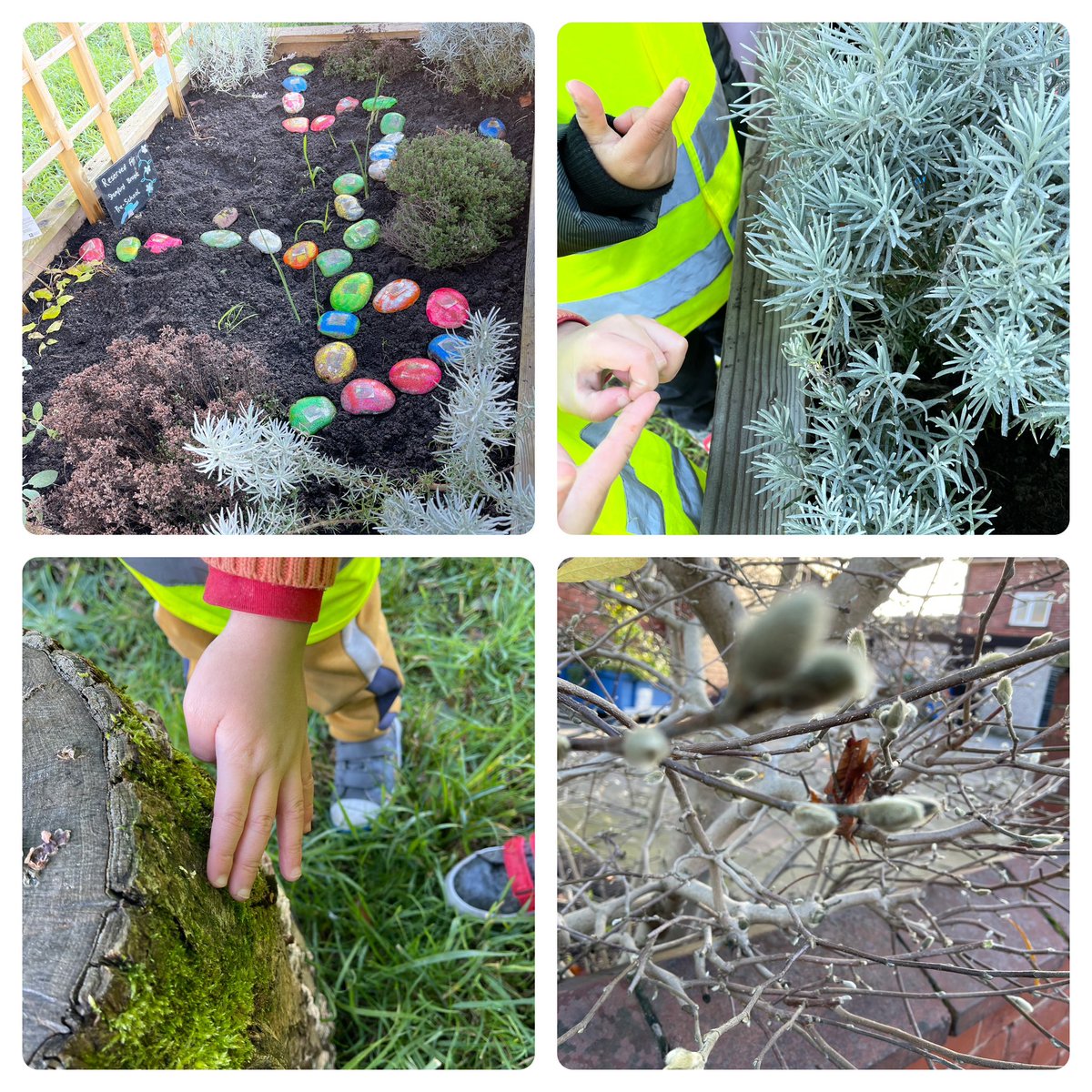 Today’s visit to #broadheath triangle community garden. The children have made a start on their fairy garden. These magical stone trails look perfect for some magical visitors. #IBelieveInWonder