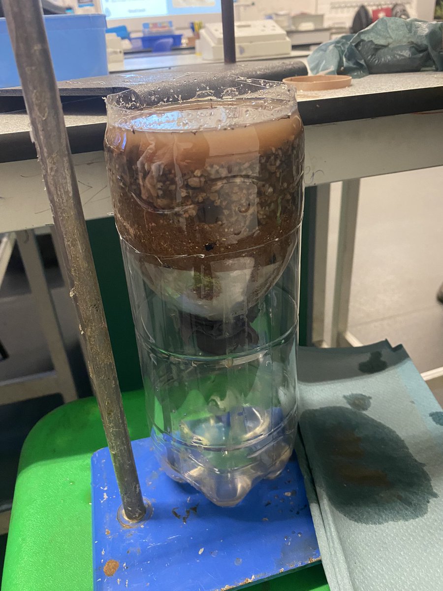 Science club took up the Ditch the Dirt challenge from #PracticalAction today. After a discussion about the problems in obtaining clean water in some countries and fog catchers in Peru, we created filter system. Lots of mess with sand and muddy water ensued. <a href="/lisaj_howell/">lisa howell</a>