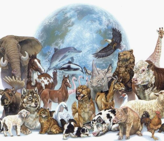 S_Catsgotmyback's tweet photo. @Grimnien @KaraJarina @EarthKeeper22 @ElektraMadrigan @RamonaMystic @BobInPascoFl @OracleOfTears @AmaraSolomon7 @savetheplaneto3 @KarliaMyaKelly I thought my days of being tagged in were over, but I welcome the olive branch. Hopefully we can unite, respectfully hold one another accountable &amp; make this world a kinder place for all earthlings 🌍💚♾

#RewildingImperative #SharedPlanet #AnimalRights
#VeganismIsClimateJustice https://t.co/7ZuZMXYzZK