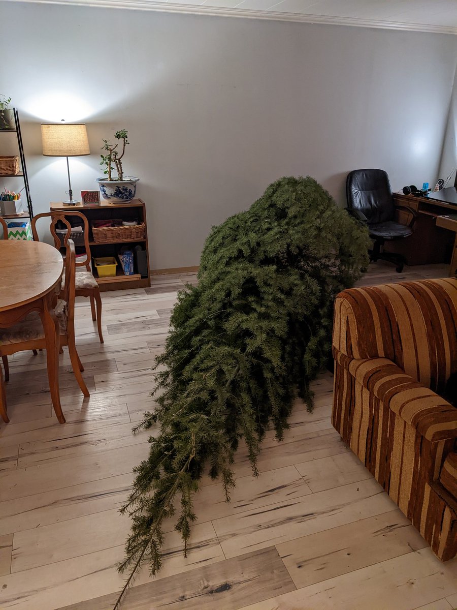 Sheriff 🐸 tweet media