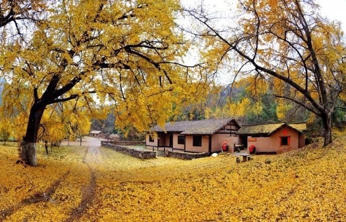 ViVi Tong tweet media