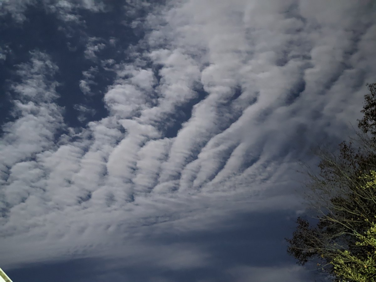 teejaygee's tweet image. Some interesting clouds tonight. #chswx