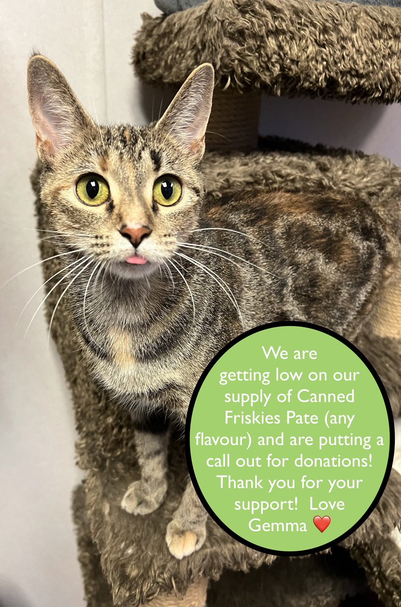 SAFE Team Rescue tweet media