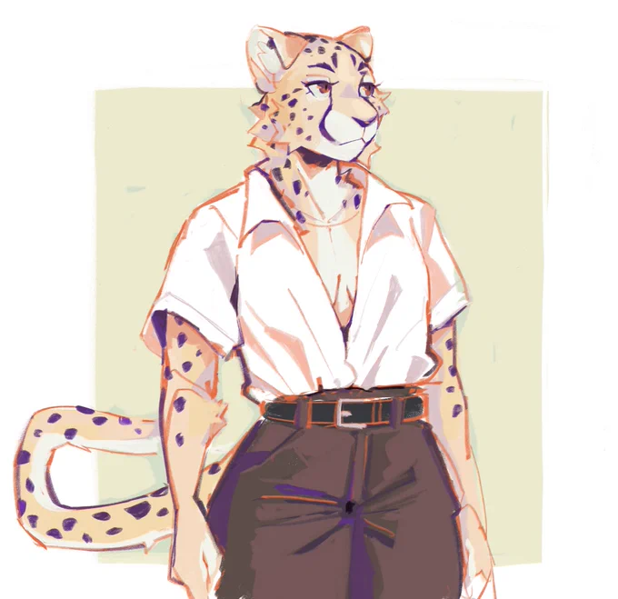 cheetah 