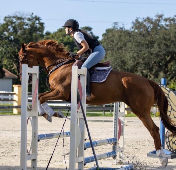 account_cache's tweet photo. - Daniela Calle 🏇❤️‍🩹 https://t.co/4zNtowLsBQ