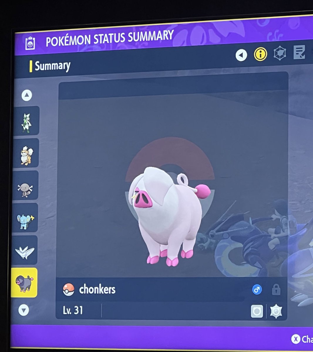 PizzachuKalyn's tweet photo. Just caught my second #ShinyPokemon in #PokemonViolet ! Who all do you have so far? #shinx #shinyshinx #lechonk #shinylechonk #Oinkologne #shinyoinkologne #PokemonScarletViolet #ShinyCheck https://t.co/LyK5OWYw1S