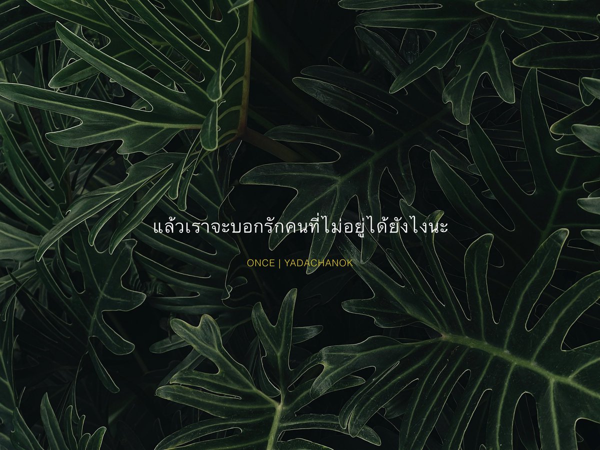 oncepage's tweet photo. เราเคยสงสัยว่า 
“เราจะบอกรักคนที่ไม่อยู่ได้ยังไงนะ”
“ความคิดถึงของเราจะไปถึงเขาหรือเปล่า”

แม้ว่าตอนนี้เราจะยังไม่รู้คำตอบ และยังไม่แน่ว่า ตลอดชีวิตนี้เราจะพบคำตอบหรือไม่ แต่เพราะความรู้สึกคิดถึงเป็นสิ่งเดียวที่เราทำได้ เราจึงยินดีอยากยิ่งที่ยังมีความคิดถึงอยู่เต็มความรู้สึก

♡ https://t.co/FfmEuSLGdA