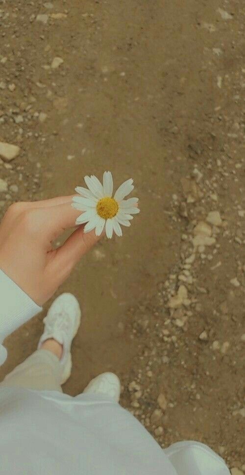 One thing about growing up is realizing you don’t hate anything anymore. Things either matter to you or they don’t.🌼