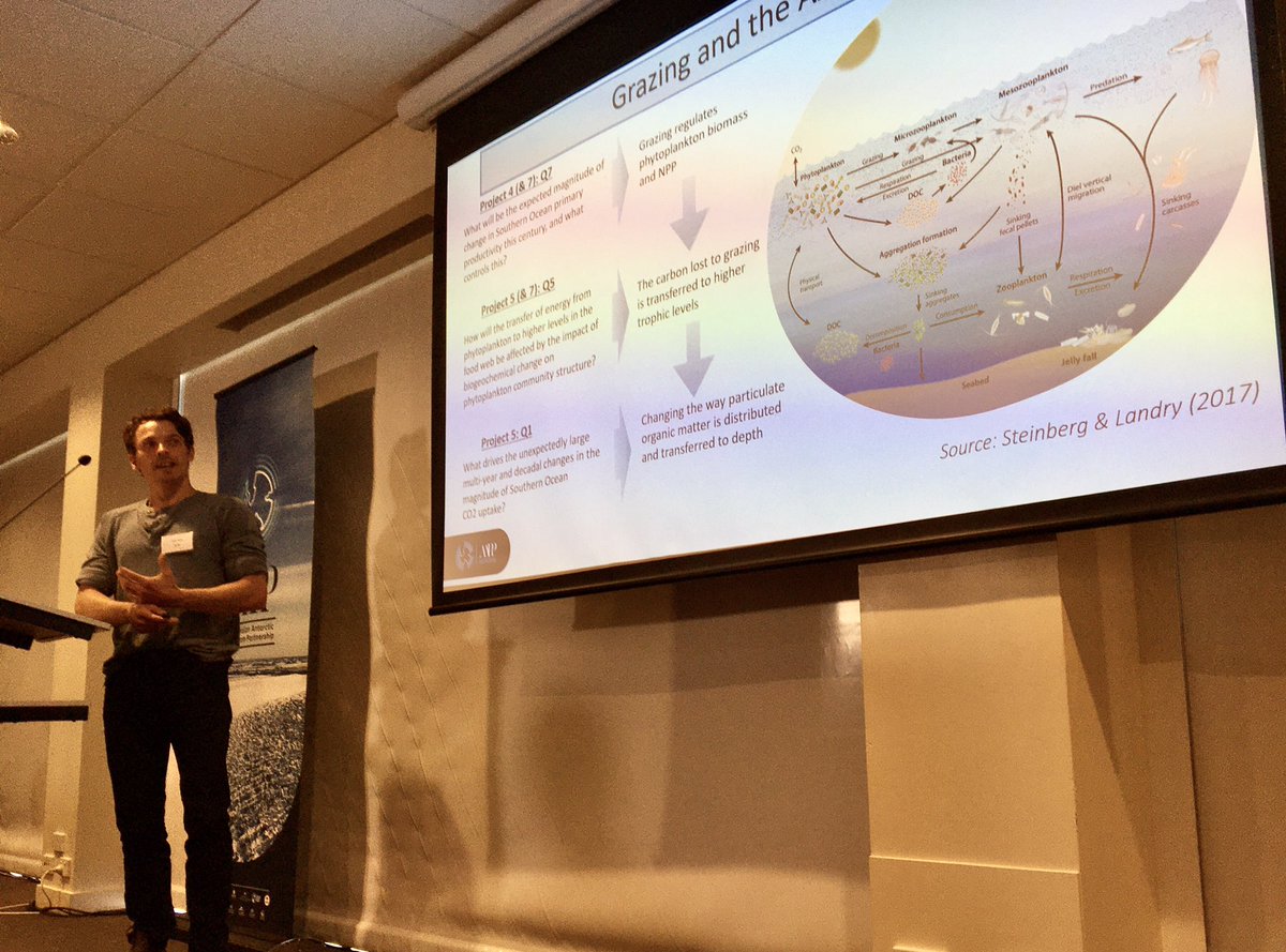 Ant_Partnership's tweet photo. How to estimate grazing rates (zooplankton eating phytoplankton) from a ship in the Southern Ocean? Tyler Rohr explains #AAPPscience https://t.co/0fbGFURUfV