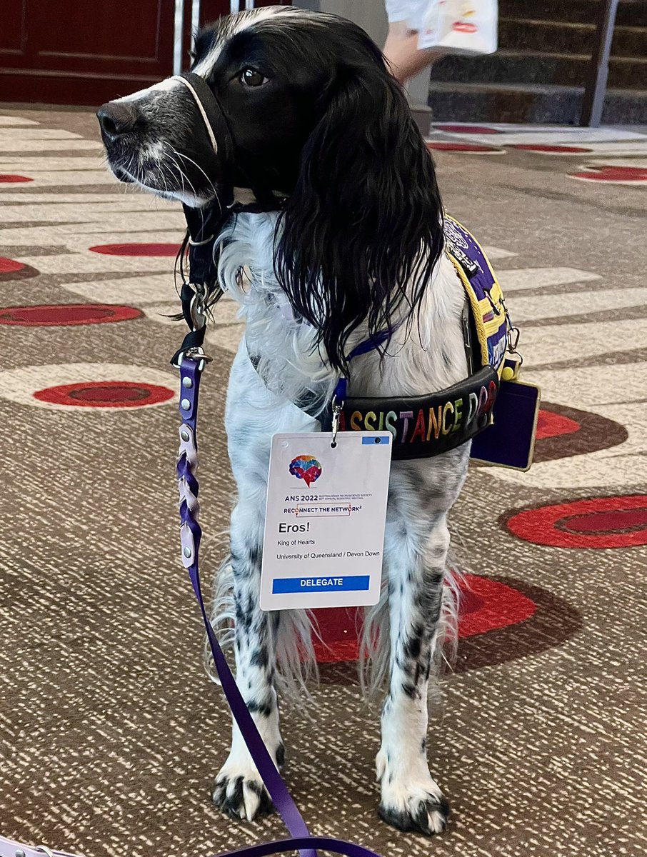 Polls are in, this is the cutest delegate at #ANS2022