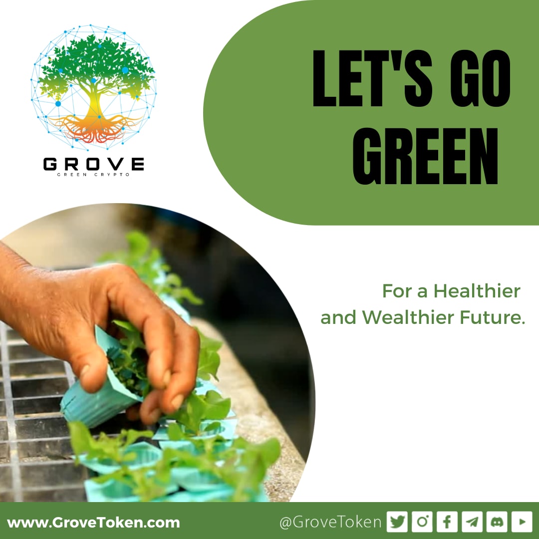MACGROUP8's tweet photo. Always Focus on the Greener Picture
That's the #GroveWay
There is NO #PlanetB
🌳💚🧩♻️
#GreenCrypto with #GroveToken
#GreenUtilities with #Hydroponics/ #Aeroponics/ #Solar / #Desalination
Be apart of the Green Movement Today!
Join the #GroveGreenArmy
#GroveEcosystem https://t.co/4pmQxCz3D8
