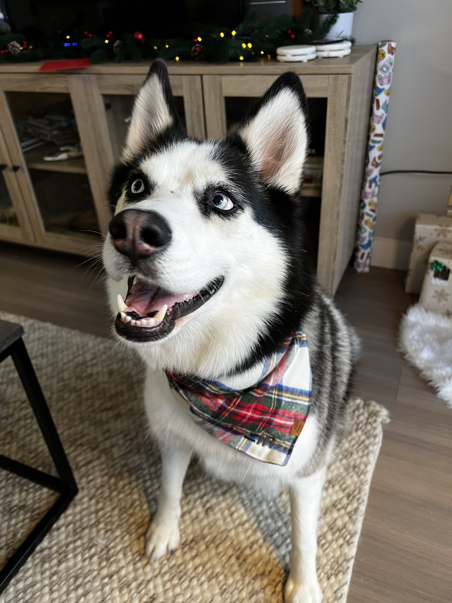 ninileaks's tweet image. Christmas !!!