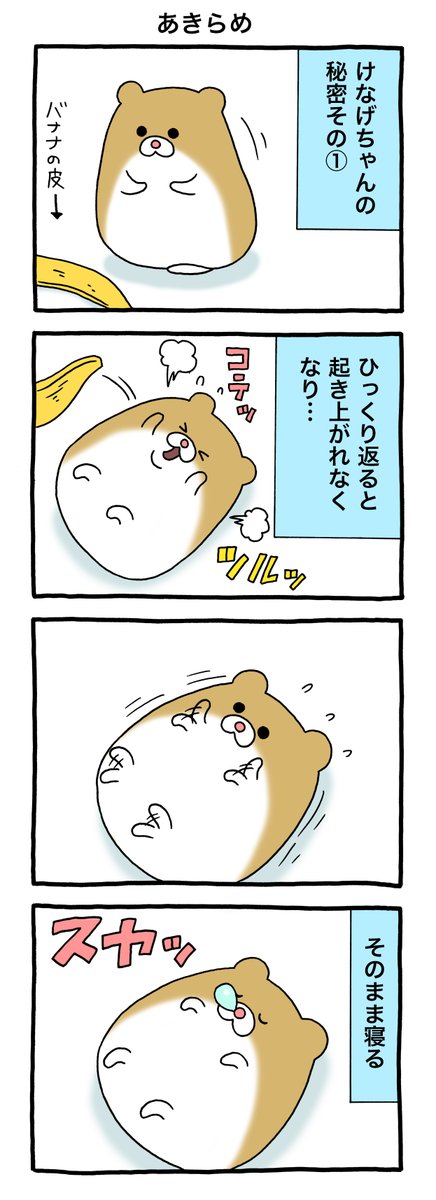 4コマ漫画けなげちゃん「あきらめ」https://t.co/Geaux6dZga

けなげちゃんスタンプ発売中→ https://t.co/IIdohrrEge 