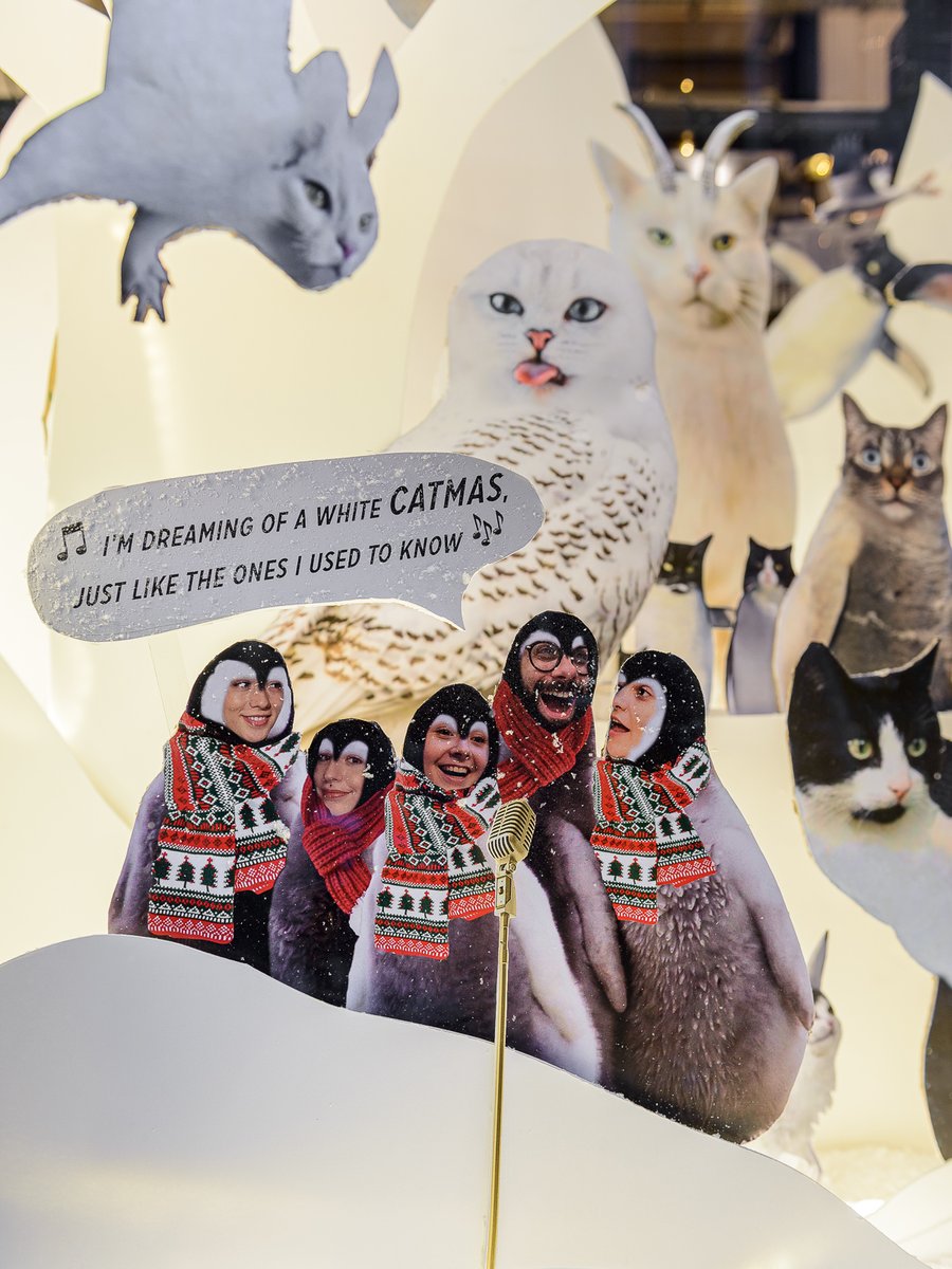 ARISTIDEhotel's tweet photo. ❄️🎵 I’M DREAMING OF A WHITE CATMAS 🎶🦭 
Pour notre vitrine de Noël on a réuni les espèces les + cutes du cercle polaire 🐻‍❄️🐧🤍 Chagouins duveteux, chapins arctiques, chaours blancs, chaouettes harfang, manchats empereurs… ils sont tous venus passer l’hiver chez @ARISTIDEhotel https://t.co/J2bh8b0HnX
