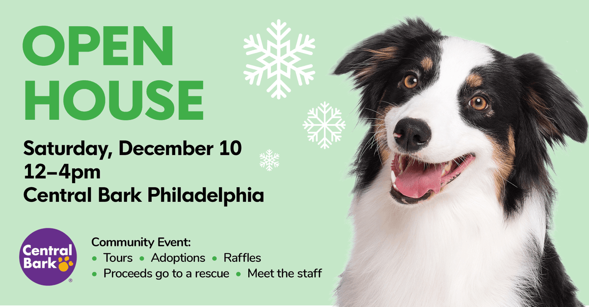 CBPhilly's tweet image. Did you say EVENT?! That's right guys and gals, Central Bark is having an Open House Event THIS SATURDAY December 10th, 2022 from 12 PM - 4 PM! There will be raffles, adoptions, tours and more! #CentralBarkPhiladelphia #PawsUp #BringAFriend 🧑🏻‍🤝‍🧑🏻 👭🏽 👬🏿 💝