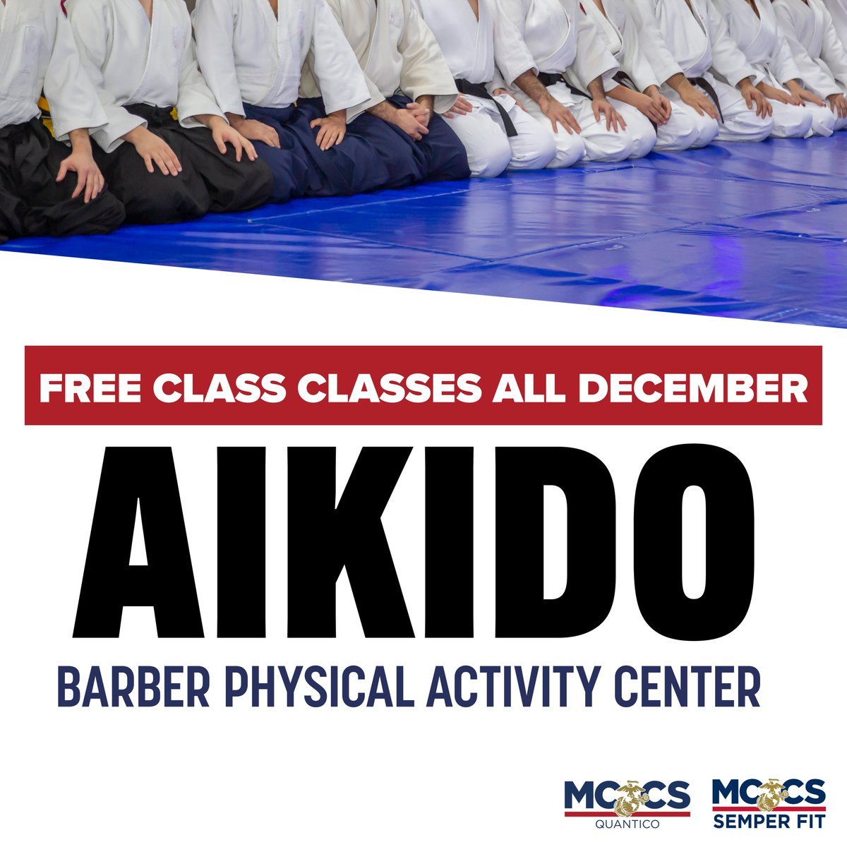 In the month of December Aikido classes are being offered for FREE. Classes take place Monday & Wednesdays, 3:00-4:30 PM, and on Saturdays 9-10 AM. For more info, call 703.432.0590 or 703.784.2339.