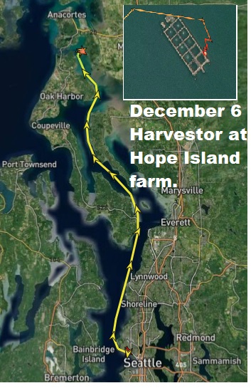 ProtectOurShore's tweet photo. End of an era: Harvestor begins to empty net pens of farmed fin fish in Puget Sound.
(Photos from 2017 report on Cooke Aquaculture's net pen collapse here: https://t.co/ueD9uGO9SW)
#salmon #nativesteelhead @SierraClubWASt @ORCA_web @OrcaNews @UBCIC @lummicomm @SuquamishTribe https://t.co/V2k80LsGN4