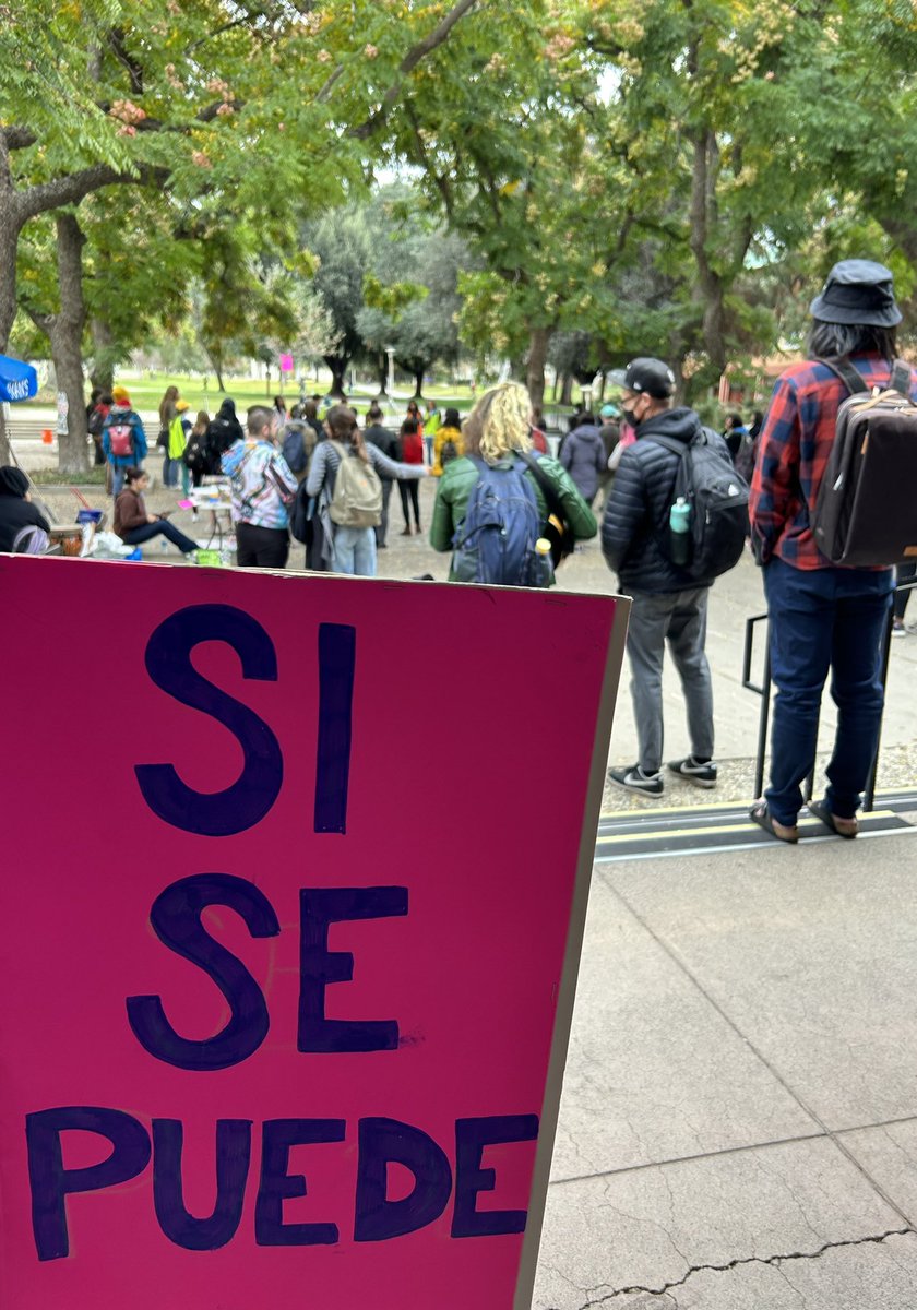 Fabi Pulido-Chavez tweet media