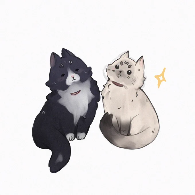 Huni &amp; Cookie  