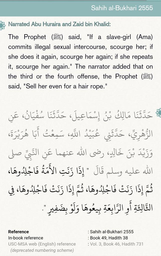 EmbededC's tweet photo. @GreySha65026648 @emiIythegreat @tehreemazeem https://t.co/DO1ik60TbT