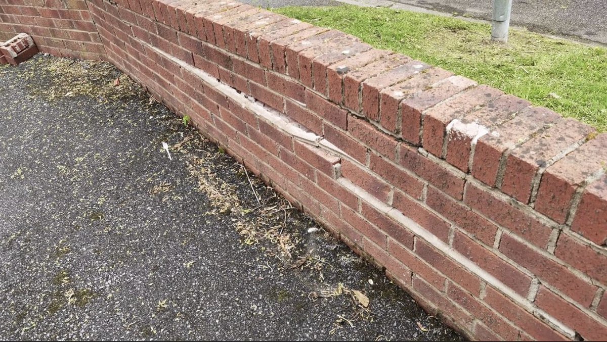 brad harrison tweet media