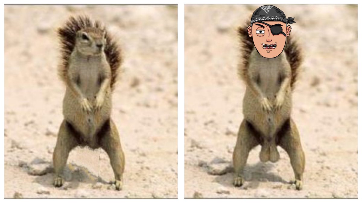 SolSquatters's tweet photo. Only legends can spot a difference! https://t.co/mk0Hj0Xpqo