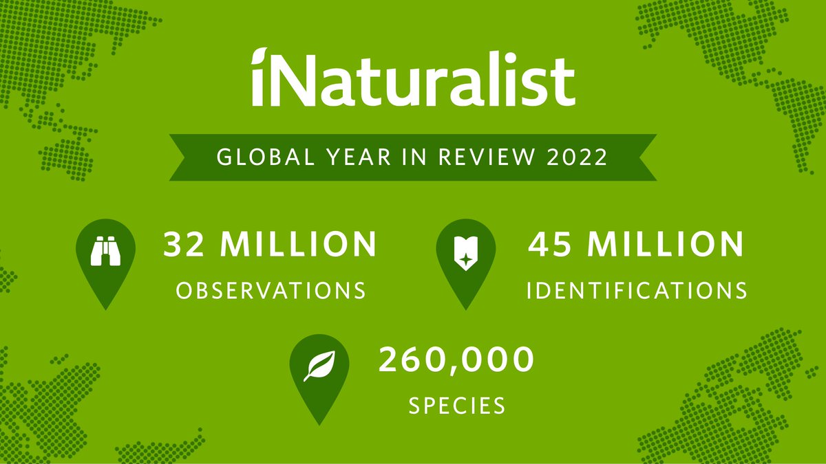 It's the most wonderful time of the year—the iNaturalist #YearInReview! 

Click through for the 📸 &amp; interactive 📊 to see the collective efforts of the iNat community: inaturalist.org/stats/2022