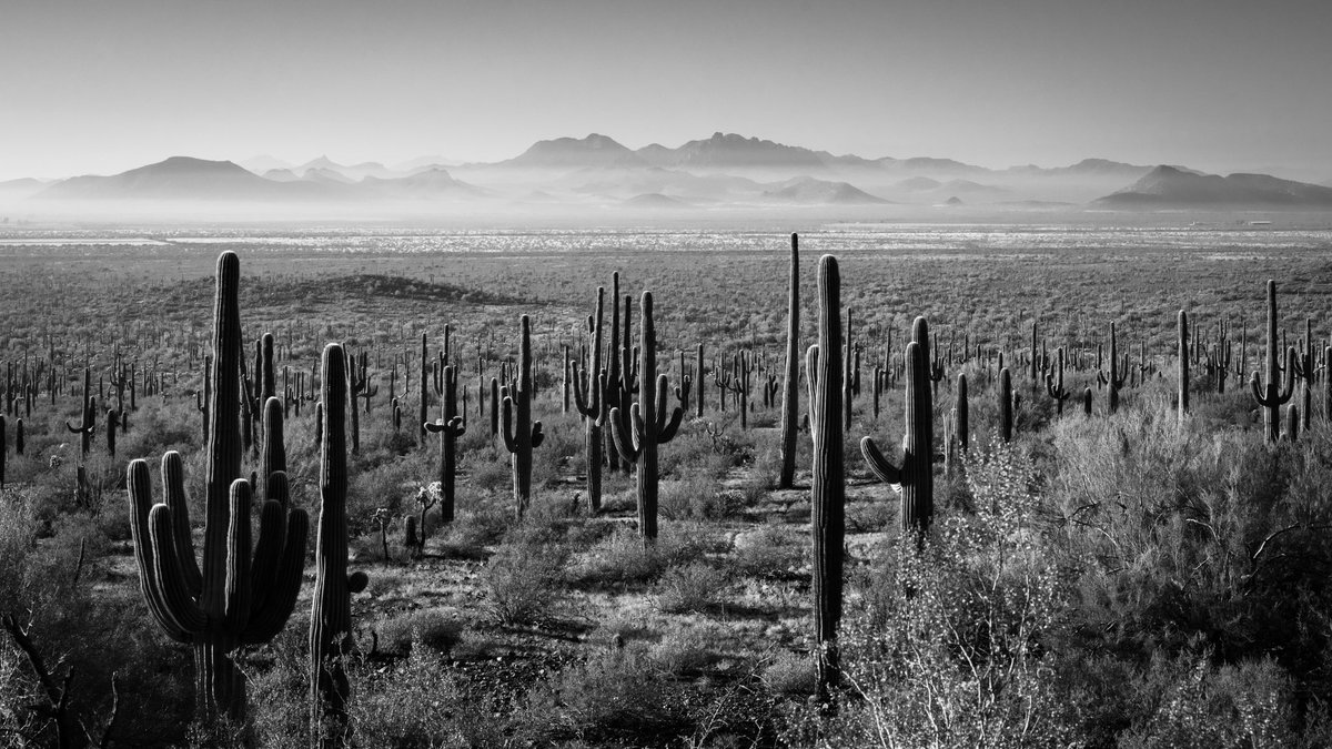 Andy Lowe tweet media