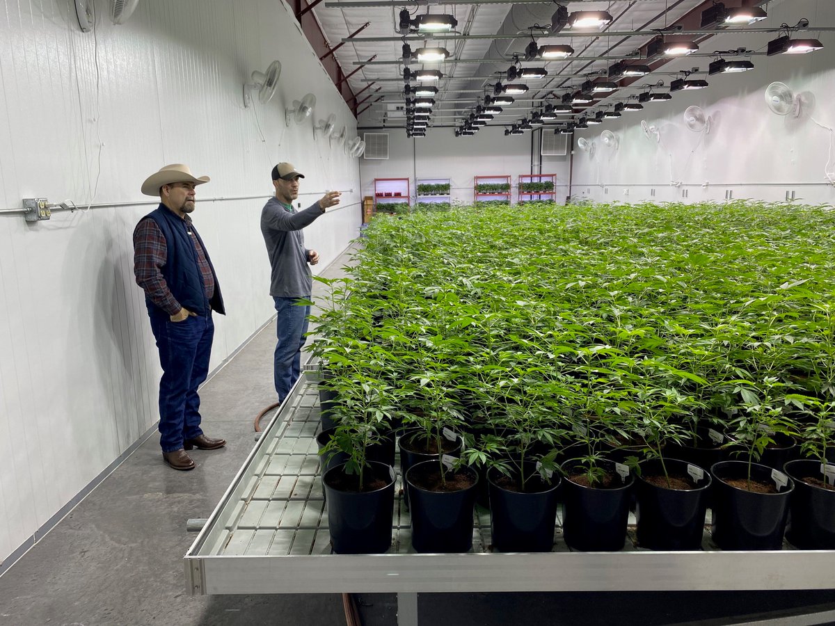 AZSenateRepublicans tweet media