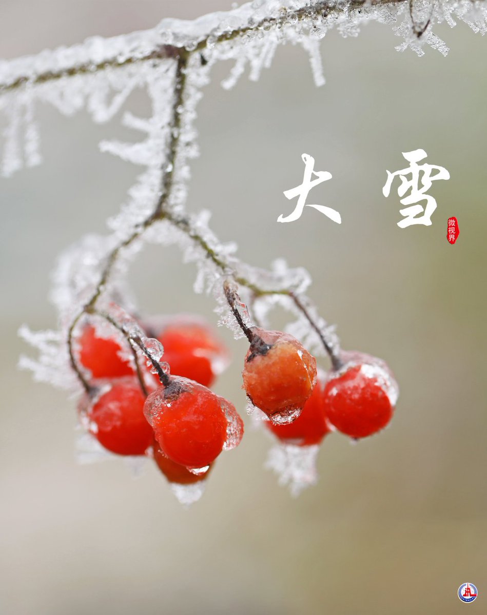 JEAN84812676's tweet photo. 忽如一夜春风来，千树万树梨花开
今日11时46分，大雪，来到你我身边
你心中的大雪时节是什么样子？ https://t.co/bIJFiwcPuG