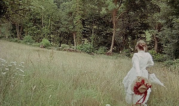 torsodapop's tweet photo. Walerian Borowczyk’s Immoral Woods

Thérése Philosophe || La Bête

“It’s in the trees! It’s coming!”
#sidebyside #borowczyk #contesimmoraux #immoraltales #nightofthedemon #houndsoflove #treeline #locations 🌳🍃🌹🌾 https://t.co/BGA2d9aK58
