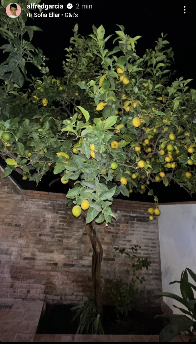 CA2LOTA's tweet photo. 📸 | Historia de @alfredgarcia. 🍋
#SofíaEllar
🔉https://t.co/pFHP4rJoXr
https://t.co/M2Eor5d5Fm https://t.co/ANFCjM3Chd