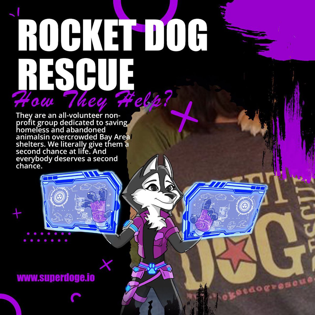 SUPERDOGEio's tweet photo. https://t.co/LNPoEs3nUy