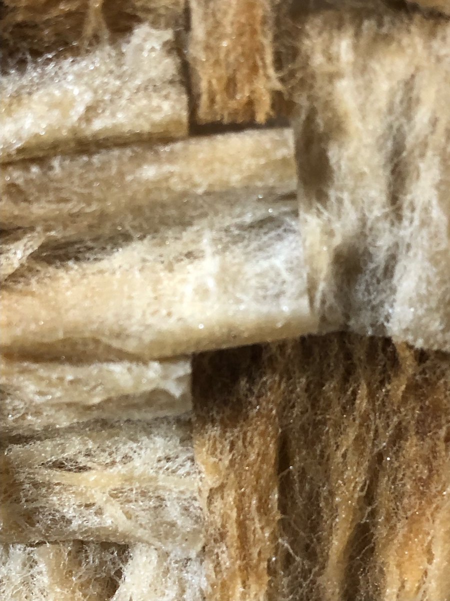 What’s this??… Our resident artist Emily Chudnovsky is brewing up a local installation soon to be in the window of our local Patagonia. This art is made from a type of #plasticpollution. Can you guess which?? <a href="/patagonia/">Patagonia</a>