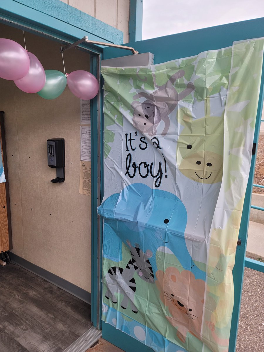 Rebecca M. tweet media