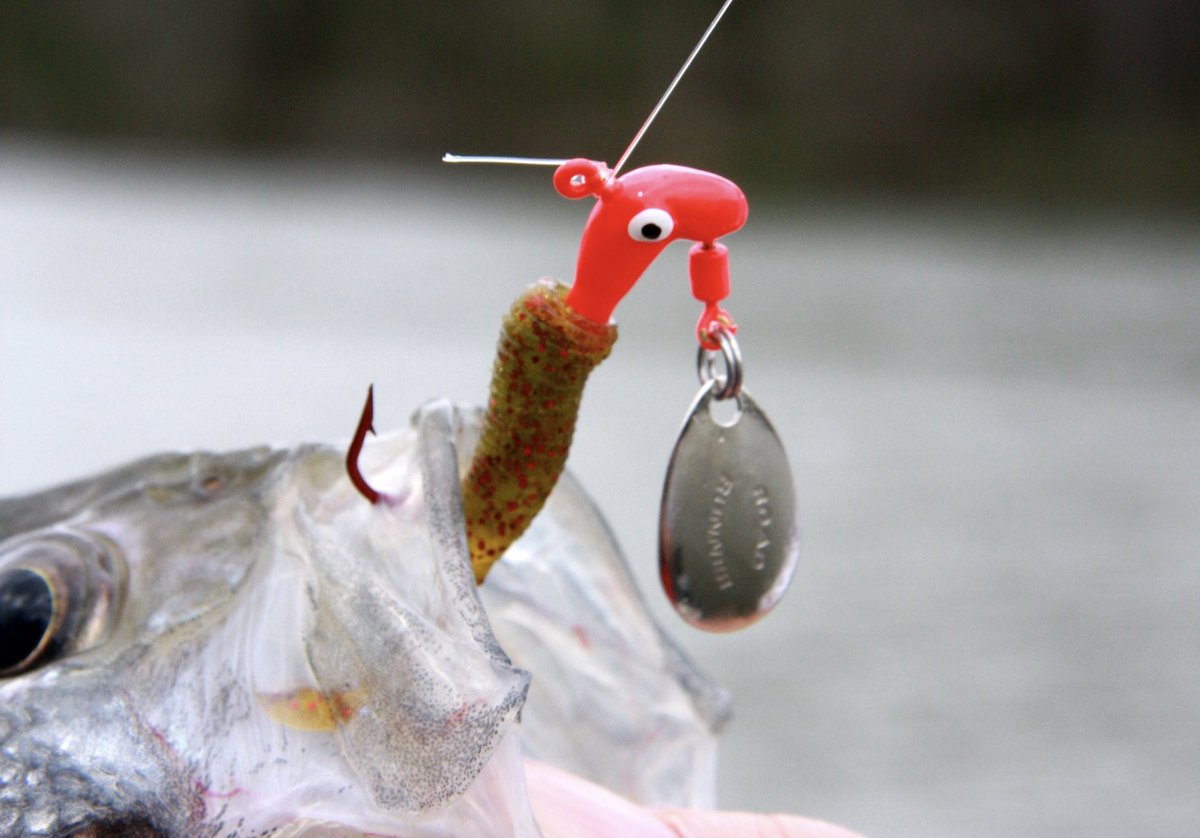 CrappieNow's tweet photo. Tim Huffman likes Road Runner Lures. They can be used in different situations, but he likes them best for trolling and casting. Check out Tim's book of crappie fishing tips and tactics at the link in our bio.

 https://t.co/d0kbwjAIEe

#TTIBlakemore #TimHuffman https://t.co/dyQSptCaaW