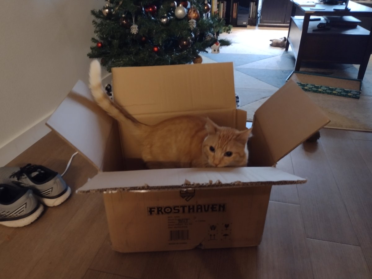 KK Writer tweet media