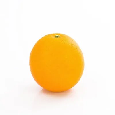 t1m's tweet photo. You’ve heard of Elf on a Shelf, now get ready for … https://t.co/Fj1dWwzVGS