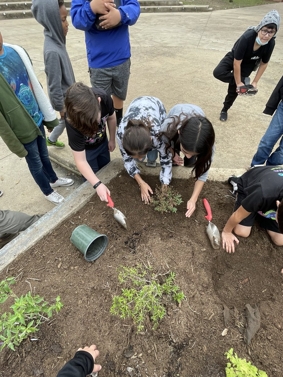 jaclyn_moncus's tweet photo. 5th grade had a great time getting their hands dirty with Mr. Esquivel! They got to plant different types of plants, flowers, and one of our trees that we started growing last year! #GLOWatOtt 

@NISDElemEnviron @NISDOtt @NISD @NISDScience @PrincipalBueno @adelagarza07 https://t.co/apQABsUzFO