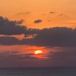 リアルボヤッキー玄太のツイート画像